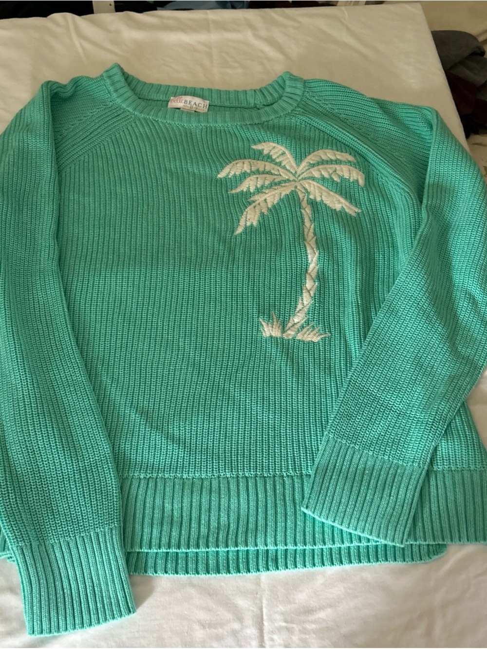 Belle by Kim Gravel Turquoise Crewneck Sweater with White Palm Embroidery
